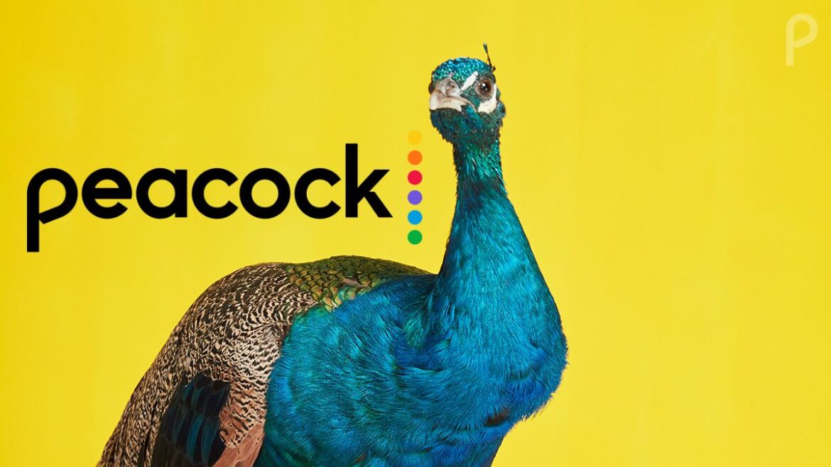 Peacock New Releases December 2024 Golda Kandace